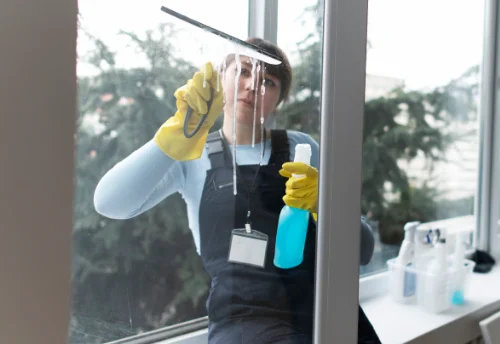 Nettoyage de vitres intérieures et extérieures à Saint-Apollinaire